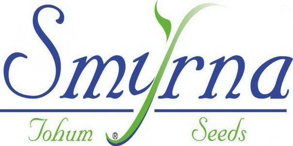 smyrna logo 2